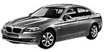 BMW F10 P0C65 Fault Code